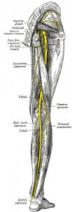 sciatic nerve pain